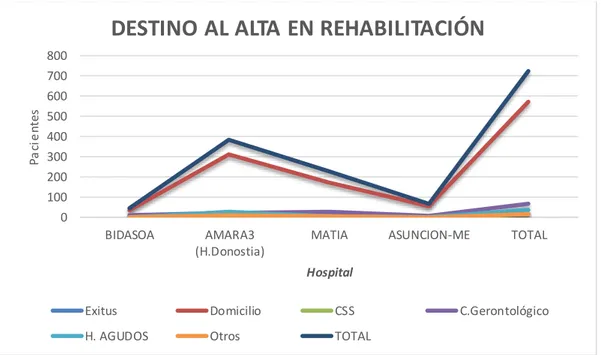 Figura 1.4. Fuente: Informe de actividad de la atención subaguda y socio-sanitaria en Gipuzkoa