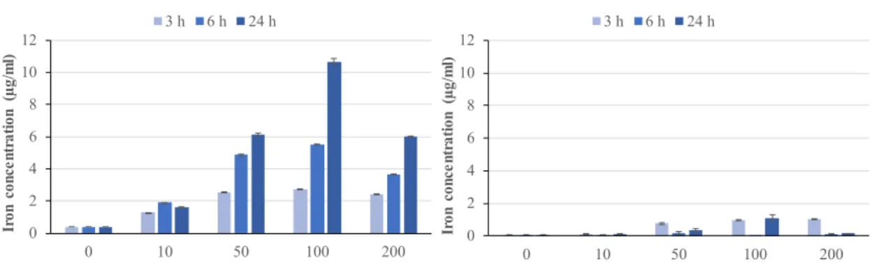 Figure IV.1: Analysis of iron ions released from S-ION in (A) complete cell culture  medium and (B) serum-free cell culture medium