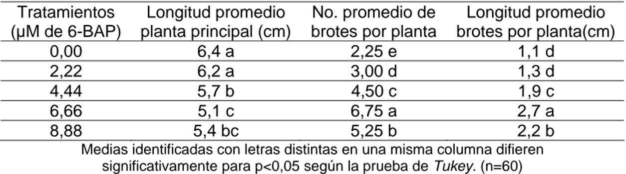 Tabla 1. Respuesta in vitro de brotes de P. caribaea var. caribaea después de 35 días  de cultivo en fase de multiplicación en presencia de diferentes concentraciones de  6-BAP en el medio de cultivo