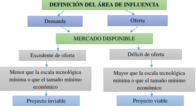 Figura 2: Dimensionamiento del mercado 