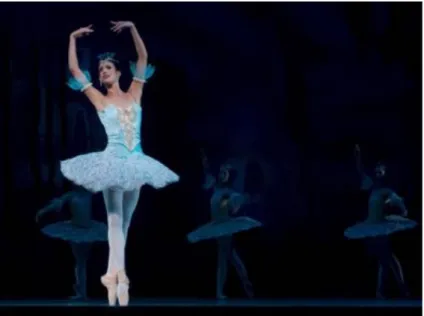 Figura 7. Dansa 
