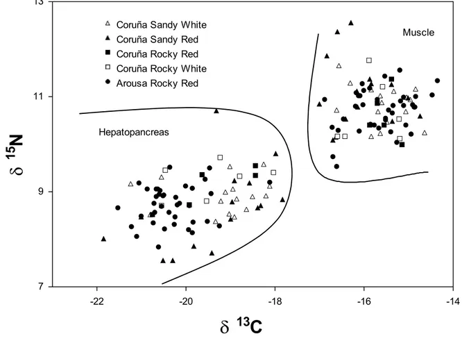 Fig. 2. Freire et al. Habitat use and stable isotopes in Maja 