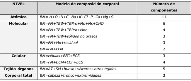 Tabla 4. Modelos de componentes múltiples representativos de los cinco niveles de composición corporal