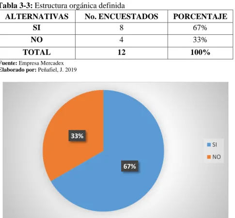 Tabla 3-3: Estructura orgánica definida