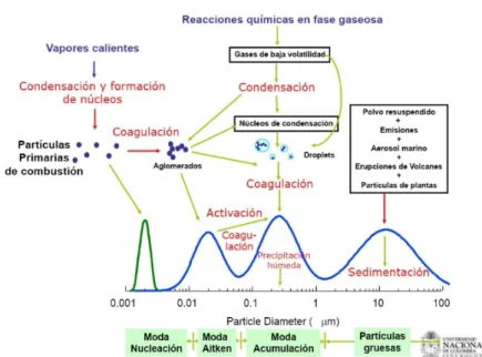 Figura 2 Procesos de formación y desaparición del PM  7 . 