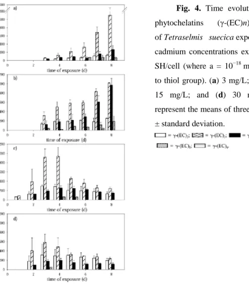 Fig.  4.  Time  evolution  of  desglycyl- desglycyl-phytochelatins  (γ-(EC)n)  in  cultures  of Tetraselmis  suecica exposed  to  different  cadmium  concentrations  expressed  as  amol   -SH/cell  (where  a  =  10 −18  mol  and  -SH  refers  to thiol grou