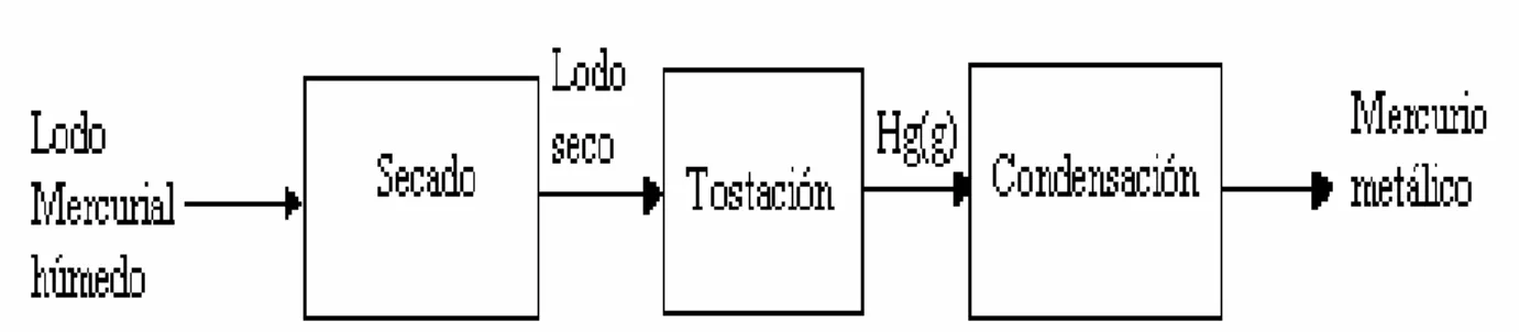 Gráfico 1: Diagrama de bloque del proceso Térmico. 