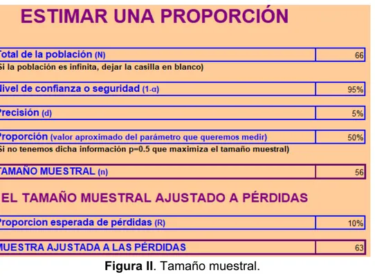 Figura II. Tamaño muestral. 