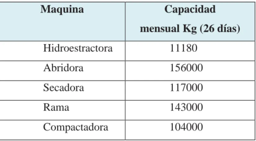 Cuadro Nro. 3: Capacidad instalada de Proceso Seco de Tintorería 