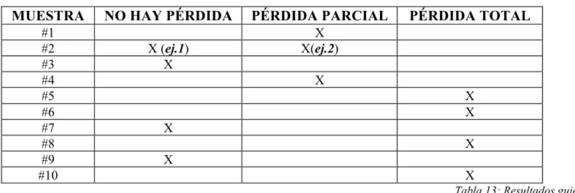Tabla 13: Resultados guiones 