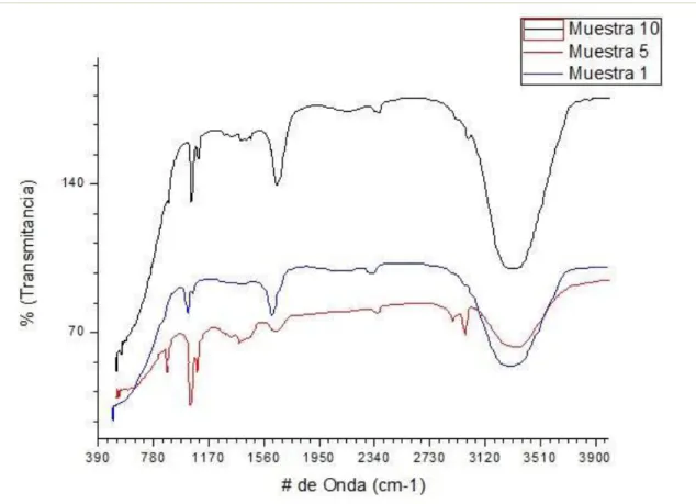 Gráfico  2-4: Intercomparación de espectros de las muestras 1, 5 y 10. 