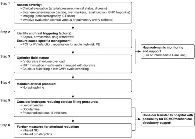 Figure  4  Comprehensive  care  of  patients  affected  by  right  ventricular  failure