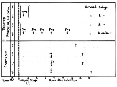 figure 1. Chart showing the timing of injections and the results  of the experiments drawn by dr