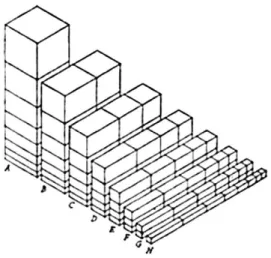 Fig. 4. El número plástico: las bases tridimensionales del sistema. 