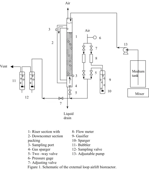 Figure 1. Schematic of the external loop airlift bioreactor. 