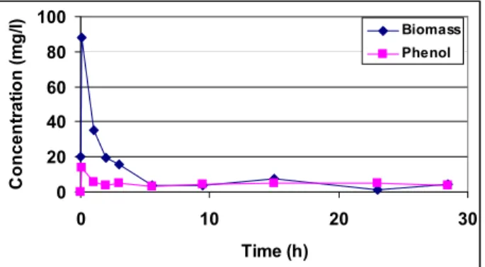 Figure 4. Continuous run at a dilution rate of 0.20 h -1  (liquid flow rate of 2.4 l/h)