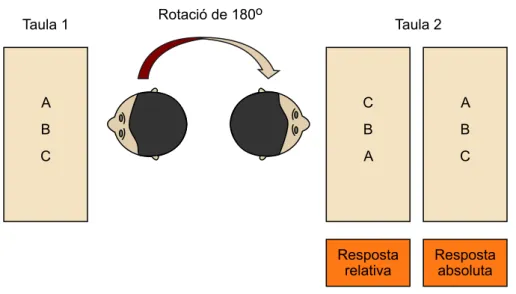 Figura 5. Tasca experimental de referència espacial