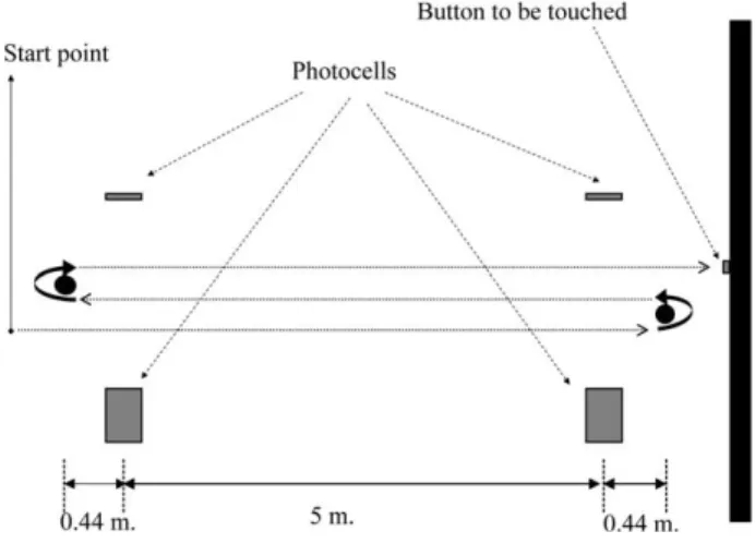 FIG. 2. Representation of the gait procedure. 