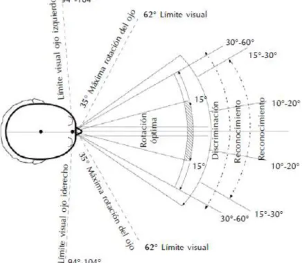 Figura 13-1: Nivel de Visión (lateral). 