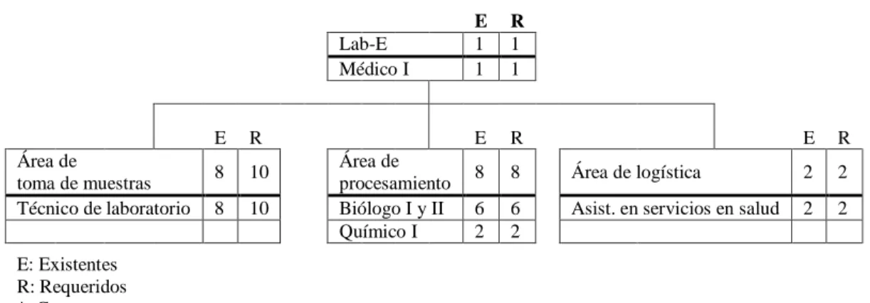 Figura 5.3: Organigrama de cargos del Lab-E  E  R 