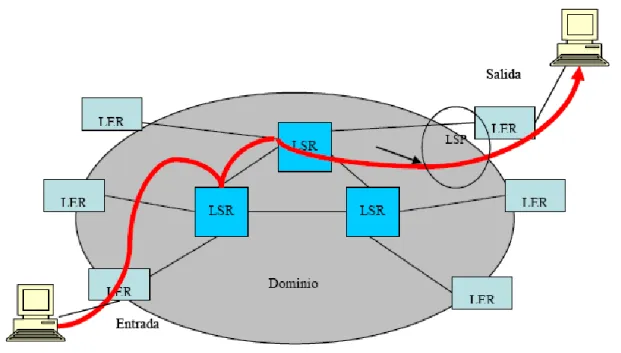 Figura 1.3 Componentes de una red MPLS 
