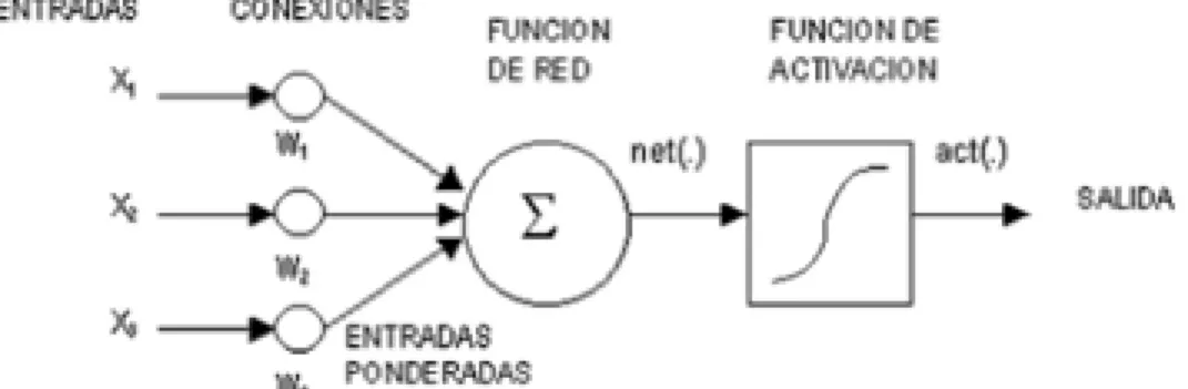 Figura 1.6. Representación de una RNA de 3 capas  Fuente: Elaboración propia 