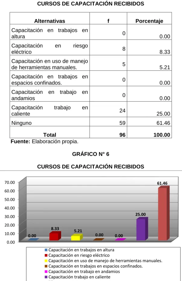 GRÁFICO N° 6 