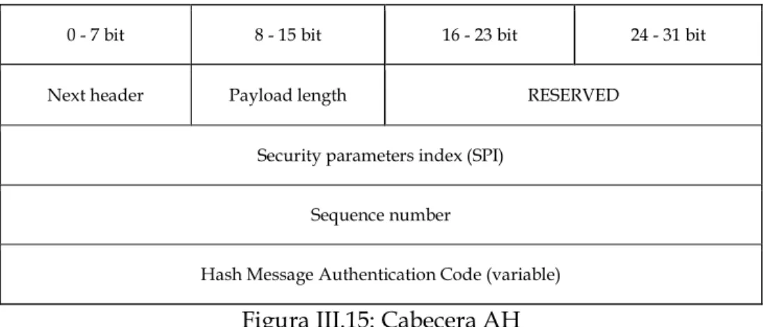 Figura III.15: Cabecera AH 