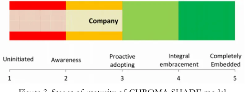 Figure 3. Stages of  maturity of  CHROMA-SHADE model