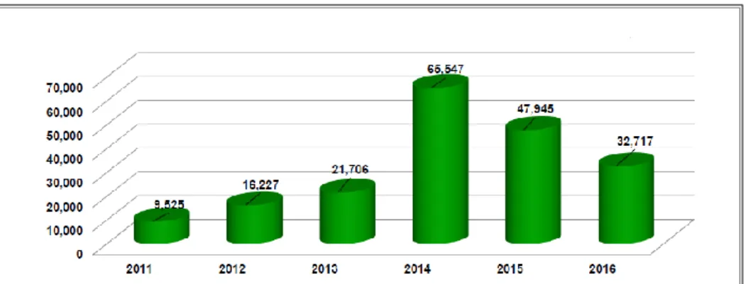 Gráfico N° 18 Exportación de palta Hass a Estados Unidos de 2010 a 2016 en t. 