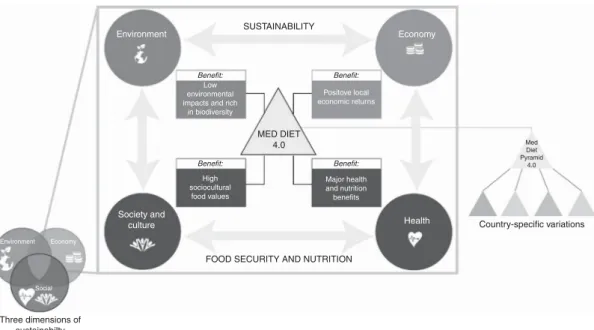 Fig. 1 The Med Diet 4.0 framework that applies the principles of sustainability to the four sustainable dimensions of the Mediterranean diet