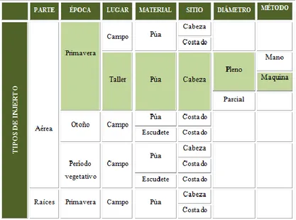 Cuadro N° 01. Descripción del tipo de injerto realizado en el presente trabajo. 