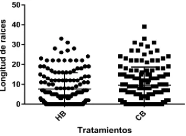 Gráfico  N° 2: Longitud de raíces por tratamiento 