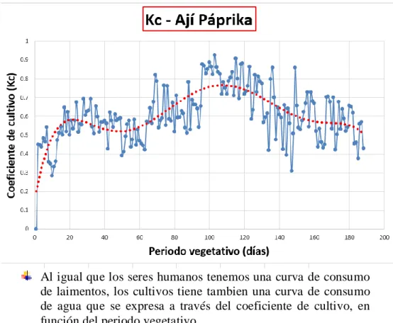 GRÁFICO N° 3 
