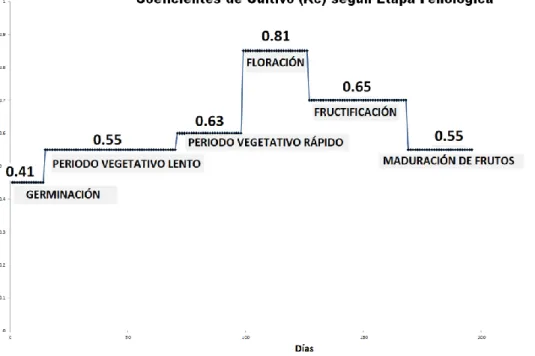 GRÁFICO N° 4 
