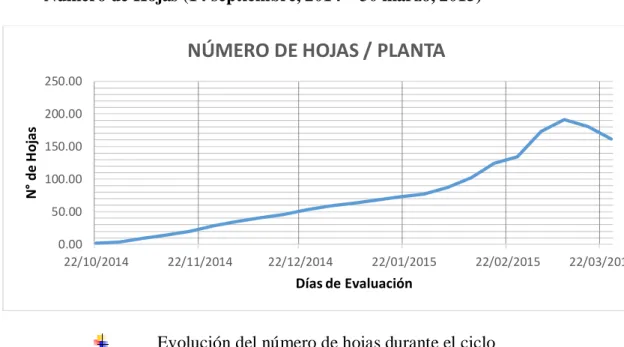 GRÁFICO N° 6 