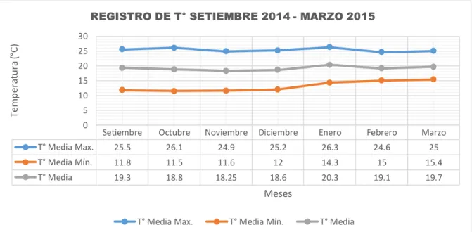 GRÁFICO N° 7 