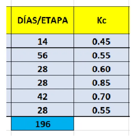 CUADRO N° 12  Kc de referencia al 160% 