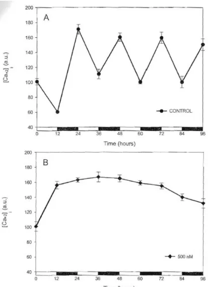 Figure  9.  Evolution  of  the  intracellular  calcium  level  inferred  from  Fluo-3  fluorescence  emission  of  Chlorella  vulgaris  cells  of  control  cultures  (A)  and  cells  exposed to 500 nM terbutryn (B)  after  96  h  of  culture