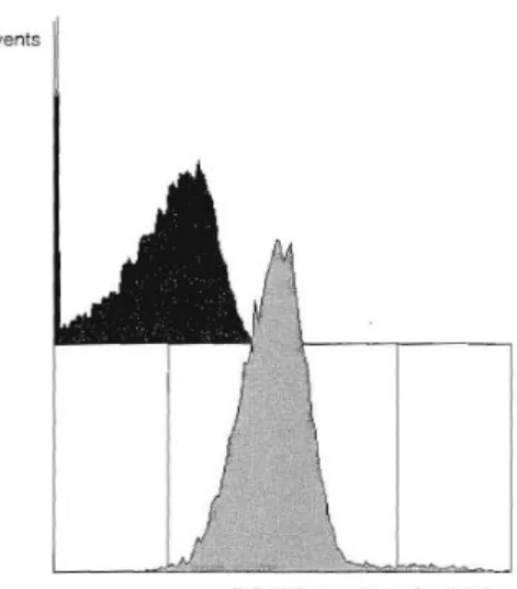 Figure  8.  Overlay  of  DiBAC 4 (3)  fluorescence  (a.u.,  arbitrary  units)  histograms  showing  the  profiles  of  Chlorella  vulgaris  cells  of  control  cultures (grey histogram) and cells exposed to 500  nM  terbutryn  (black  histogram)  after  96