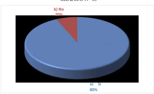 GRÁFICO N° 05