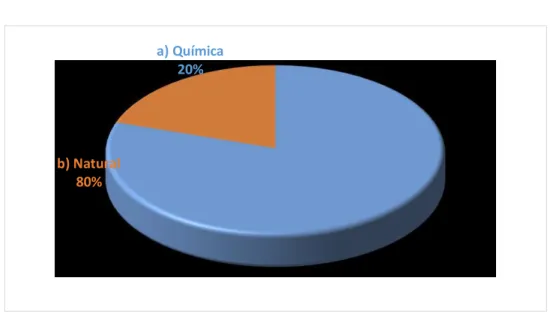 GRÁFICO N° 06