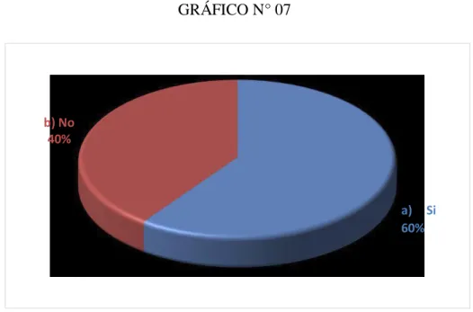 GRÁFICO N° 07