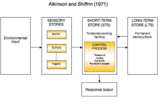 Figura 2 Model computacional  Atkinson i Shiffrin 1971 