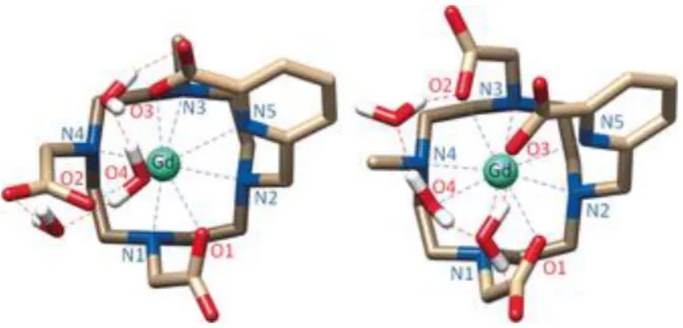 Figure 2. Structures of the [Gd(1,4-Medo2 ampa)(H 2 O)]⋅2 H 2 O (left) and [Gd(1,7-Medo2 ampa)(H 2 O)]⋅2 H 2 O (right)  complexes optimized in aqueous solution at the TPSSh/LCRECP/6-31G(d) level