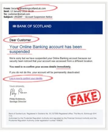 Figura 5 – Deceptive phishing  (4) 