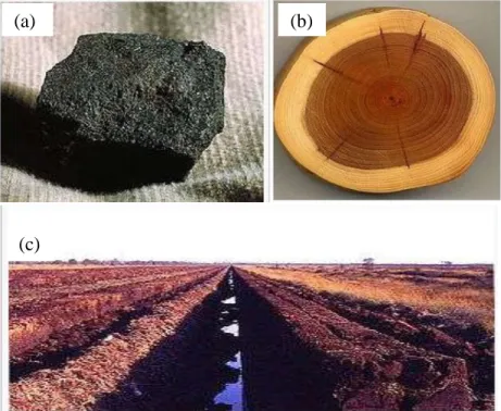 Figura 3. Tipos de combustible sólido. (a) carbón, (b) madera, (c) turba.