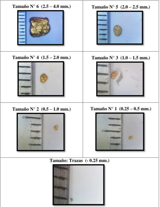 Cuadro N° 4: Categorización  de partículas de Oro del río Zamora y Namangoza. 