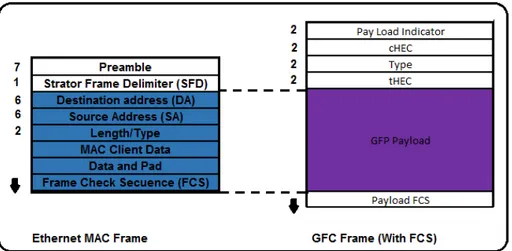 Figura 1.14: Encapsulación de Ethernet en GFP-F [39] 