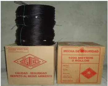 Foto 7: Mecha de seguridad. 